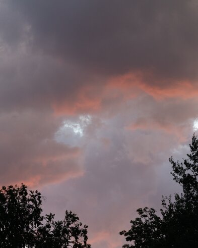 Innsbrucker Festwochen der Alten Musik