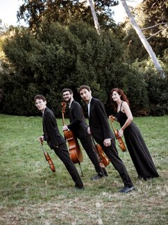 Quatuor Hanson