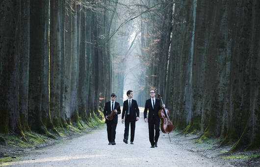 Busch Trio © Kaupo Kikkas