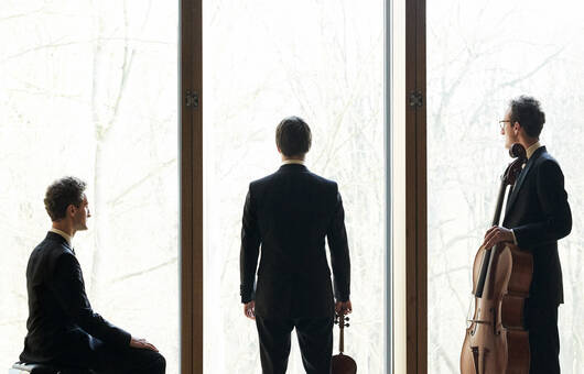 Busch Trio © Kaupo Kikkas